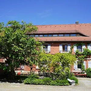 Schuh Apartment